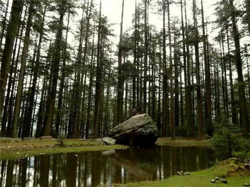 Photo of Van Vihar, Manali, Himachal Pradesh, India by Niyati Mavinkurve
