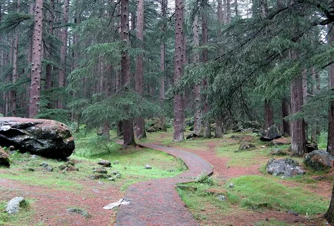 Photo of How to enjoy Manali Differently by Niyati Mavinkurve