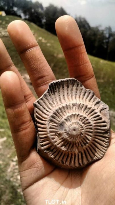 Photo of Langza: A Village of Friendly People and Fossils by Niyati Mavinkurve