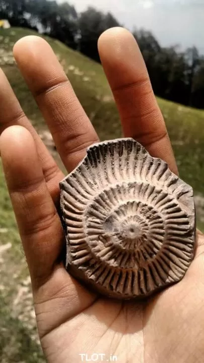 Photo of Langza: A Village of Friendly People and Fossils by Niyati Mavinkurve