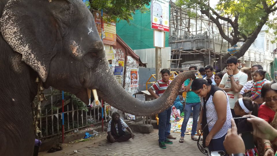 Photo of Manakula Vinayagar Temple, Tiruvallur, Tamil Nadu, India by Niyati Mavinkurve