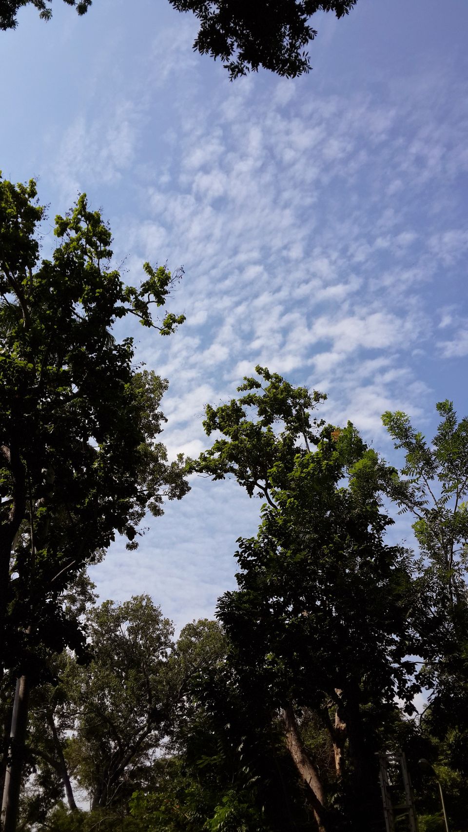 Photo of How to Enjoy Pondicherry Differently by Niyati Mavinkurve