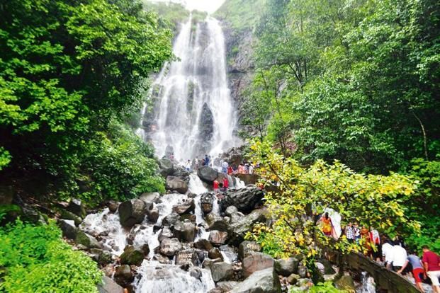 Photo of Why sleepy Amboli should be your next winter holiday destination! 1/5 by Niyati Mavinkurve
