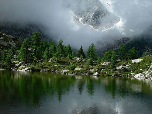 Photo of Kyongnosla Alpine Sanctuary, JN Road, Dichenling Area, Gangtok, Sikkim, India by Niyati Mavinkurve
