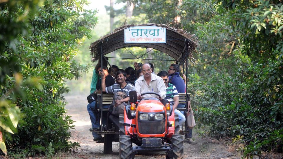 Photo of Chikoo Festival Bordi ( S. R. Save Camping Ground), Gholvad - Bordi Road, Bordi, Maharashtra, India by Niyati Mavinkurve