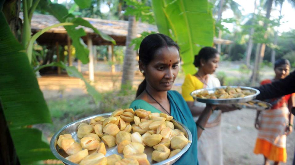 Photo of There's a Chikoo Festival happening in Mumbai's Backyard! by Niyati Mavinkurve