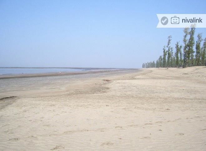 Photo of Bordi Beach, Bordi, Maharashtra, India by Niyati Mavinkurve