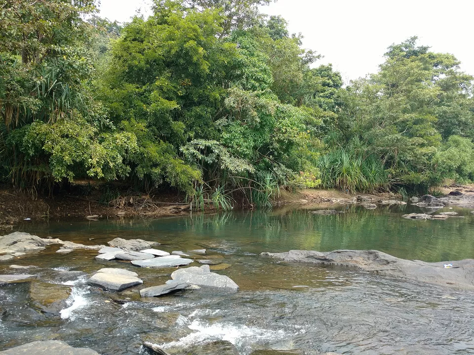 Photo of Get ready for some power packed rafting and nature in Dandeli by Niyati Mavinkurve