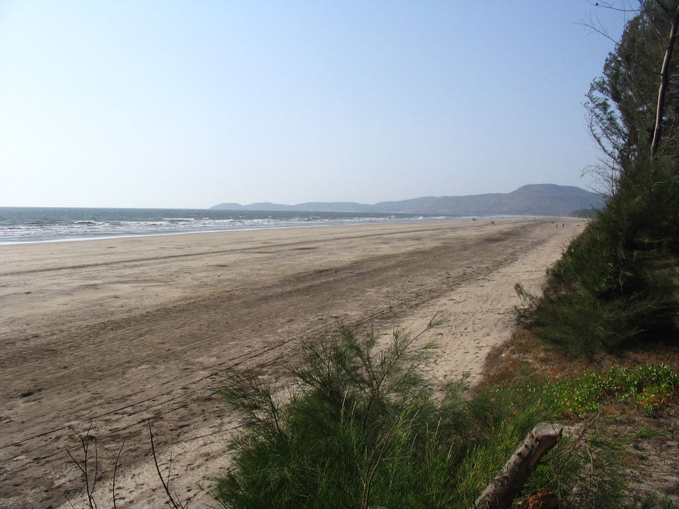 Photo of Uncovering Maharashtra's Hidden Gem: Diveagar by Niyati Mavinkurve