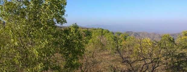 Photo of Skip Mahabaleshwar for this unexplored weekend hideout by Niyati Mavinkurve