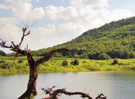 Photo of Mhaismal Hill Station, Maharashtra, India by Niyati Mavinkurve