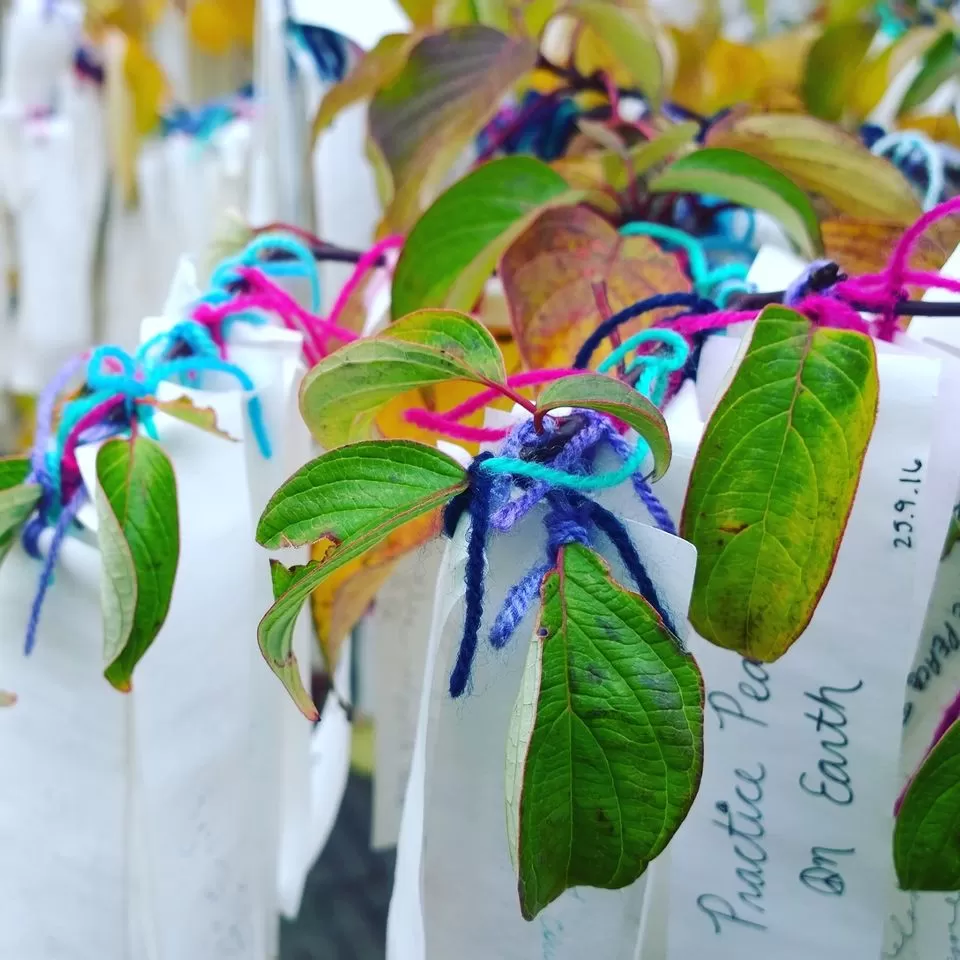 Photo of Hague, Netherlands by Rashmi Salokhe