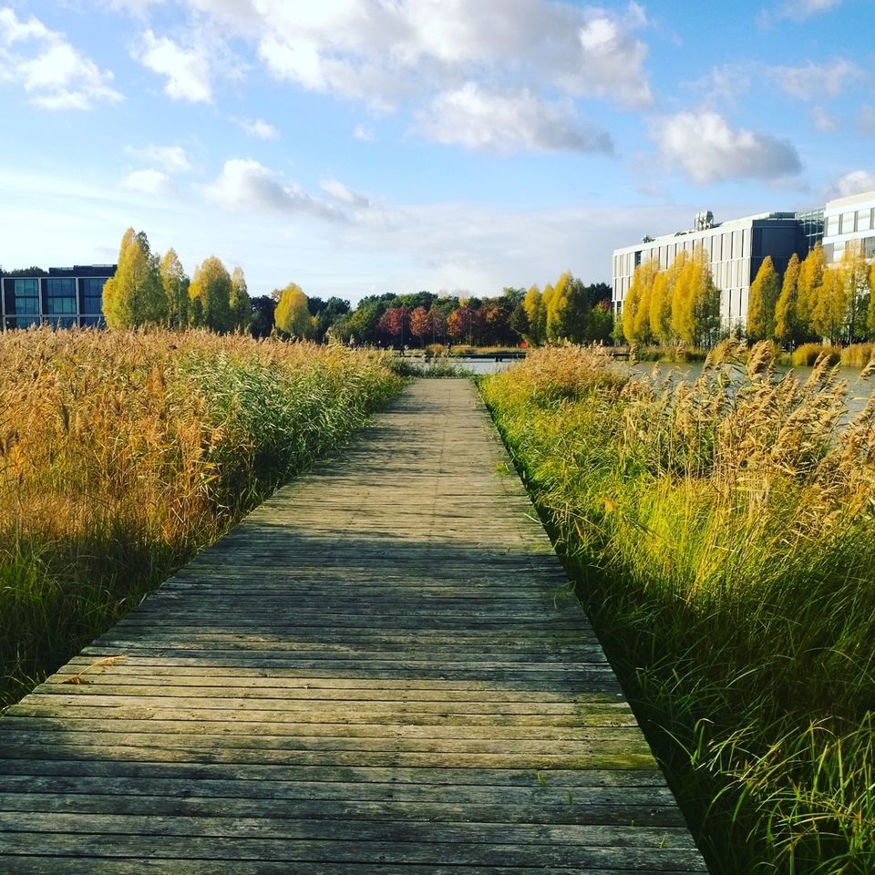 Photo of Utrecht, Netherlands by Rashmi Salokhe