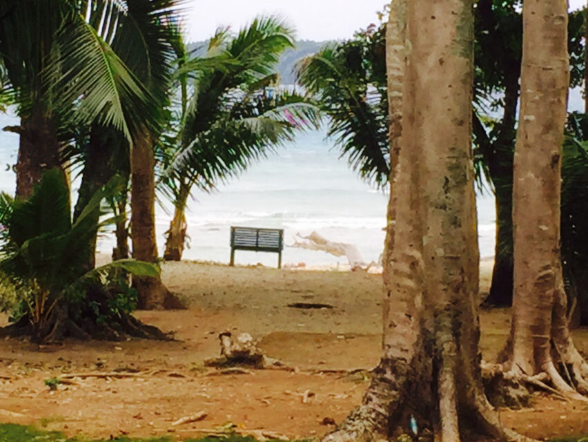 Photo of Andaman for you,in 6 days by Sinjini