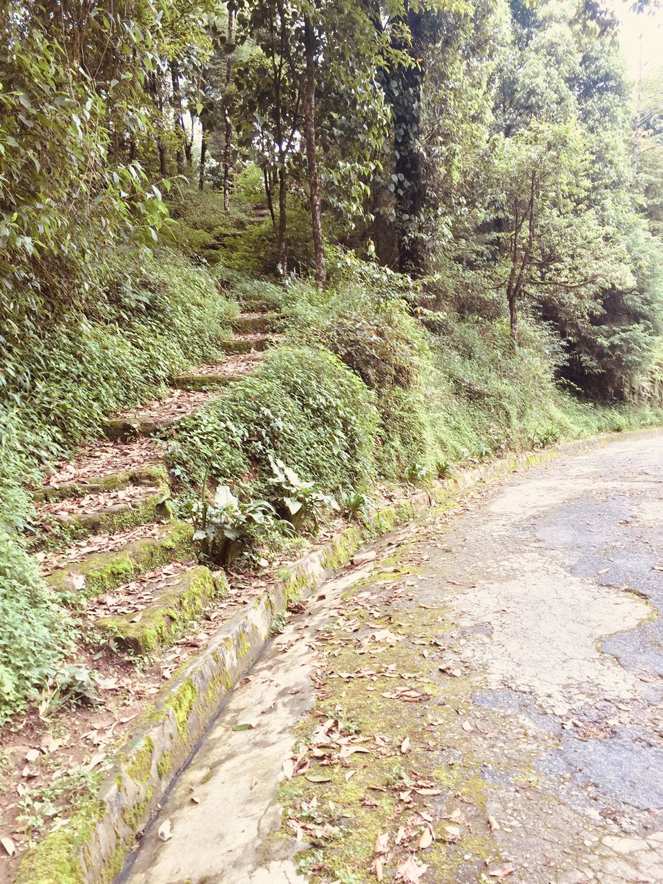 Photo of Darjeeling : Get rejuvenated at the foothill of the Himalayas 8/16 by Sinjini