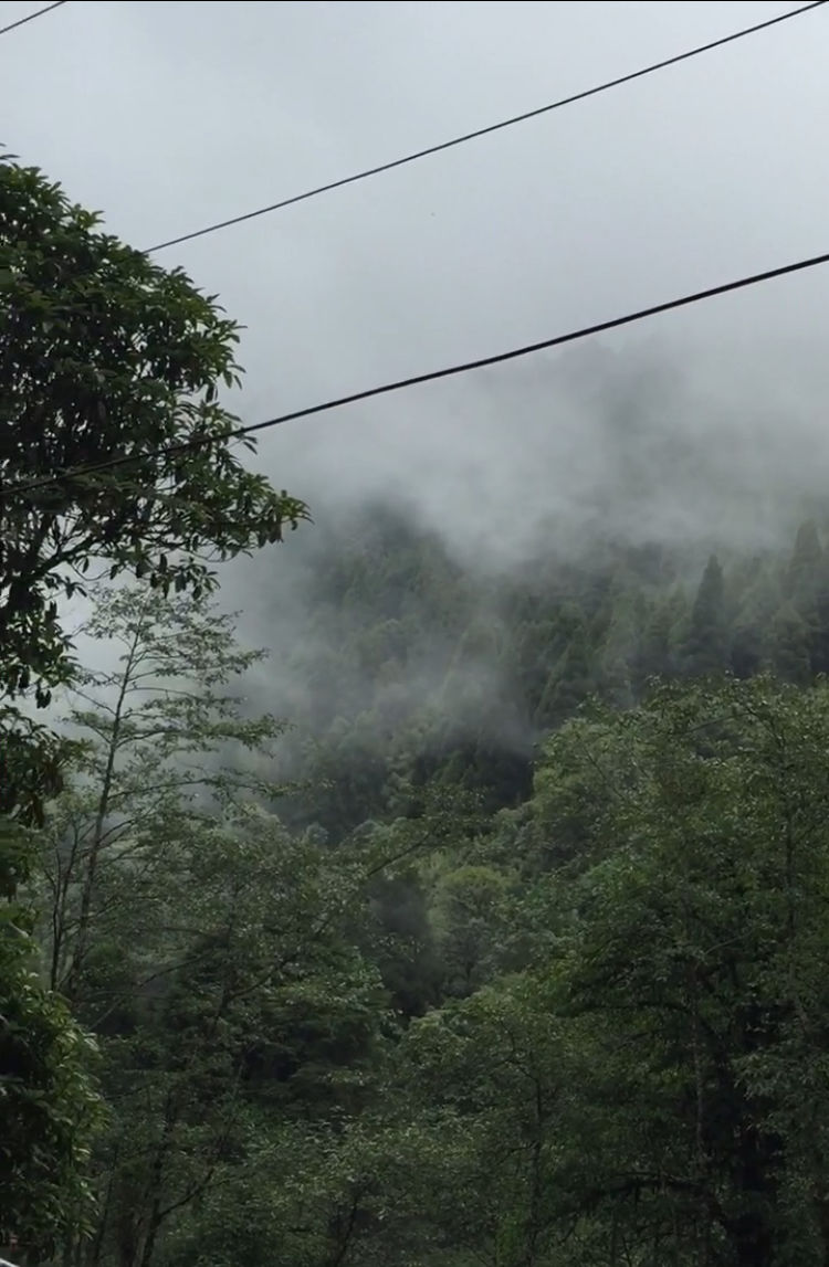 Photo of Darjeeling : Get rejuvenated at the foothill of the Himalayas 10/16 by Sinjini
