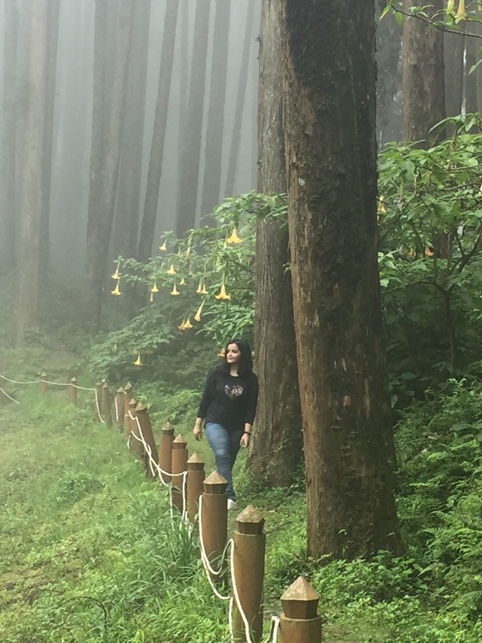 Photo of Darjeeling : Get rejuvenated at the foothill of the Himalayas 13/16 by Sinjini