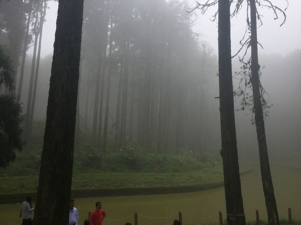 Photo of Darjeeling : Get rejuvenated at the foothill of the Himalayas 14/16 by Sinjini