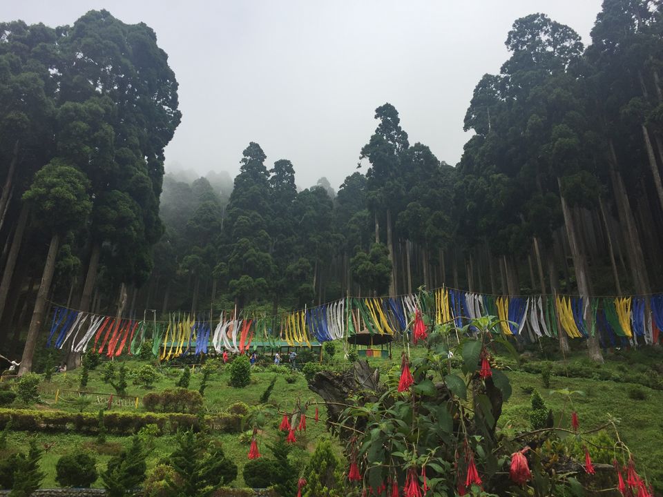 Photo of Darjeeling : Get rejuvenated at the foothill of the Himalayas 16/16 by Sinjini