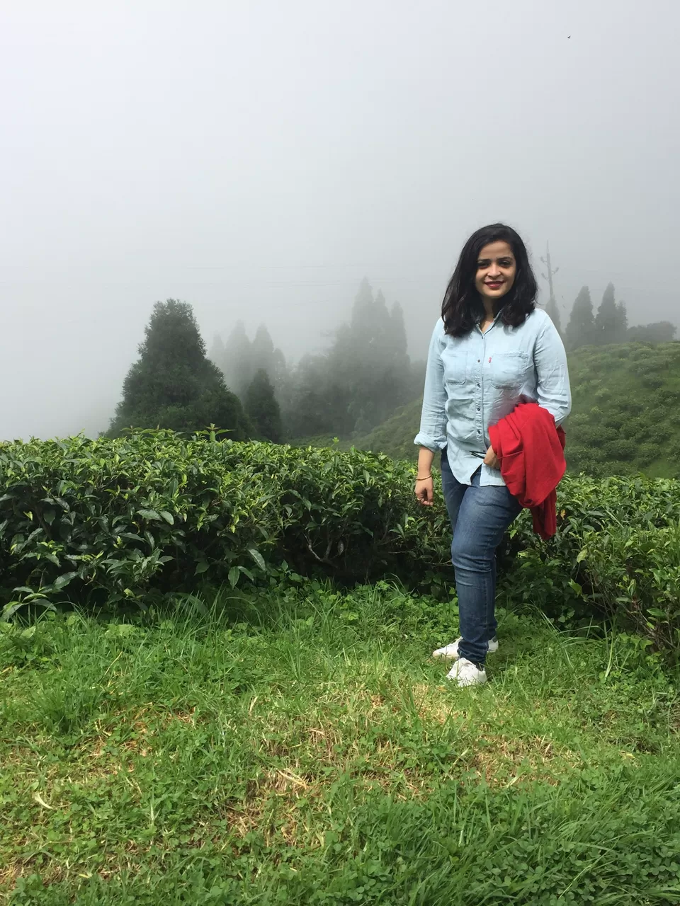 Photo of Happy Valley Tea Garden, West Bengal, India by Sinjini