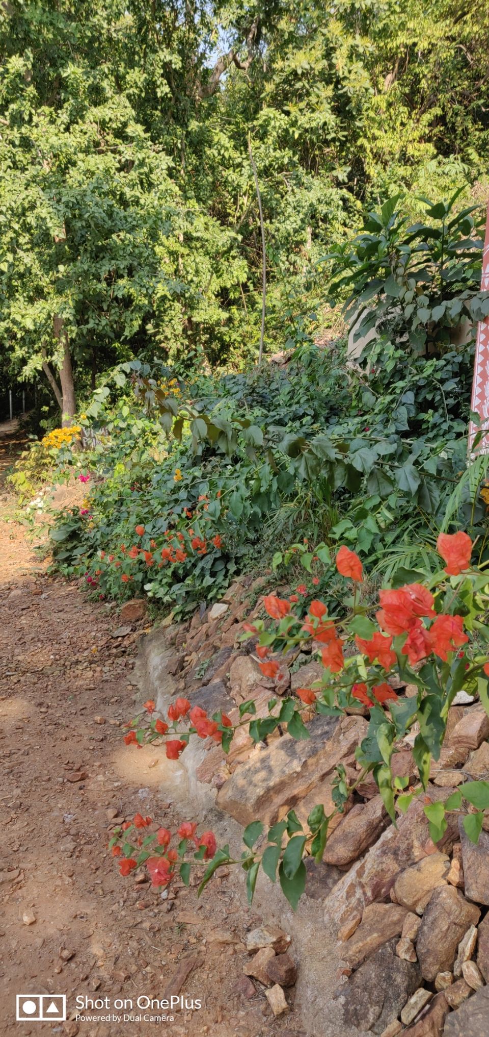 Photo of Satkosia sands resort : perfect weekend getaway from Kolkata and Bhubaneswar by Madhurima Roy