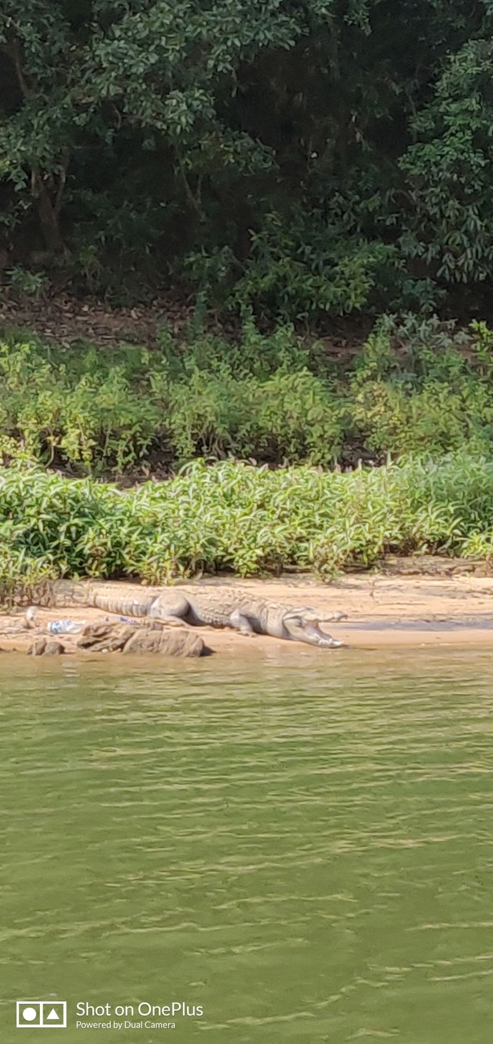 Photo of Satkosia sands resort : perfect weekend getaway from Kolkata and Bhubaneswar by Madhurima Roy