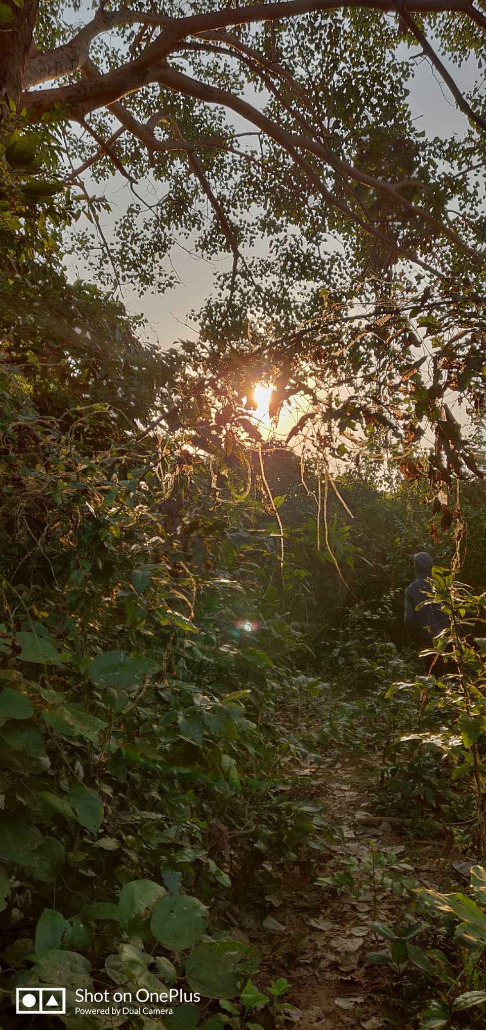 Photo of Satkosia sands resort : perfect weekend getaway from Kolkata and Bhubaneswar by Madhurima Roy