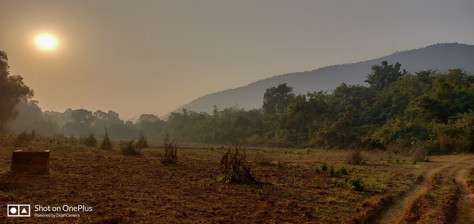 Photo of Satkosia sands resort : perfect weekend getaway from Kolkata and Bhubaneswar by Madhurima Roy
