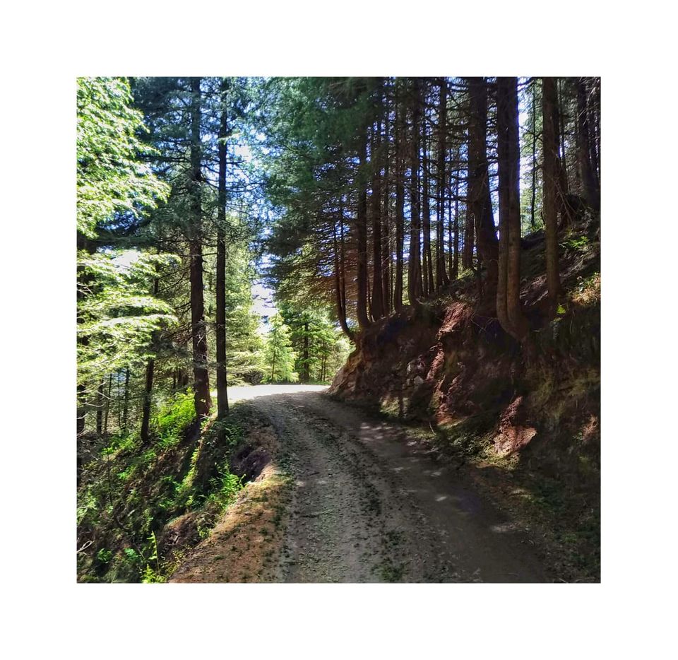 Photo of Why I wish to visit Dalhousie again by Vandana