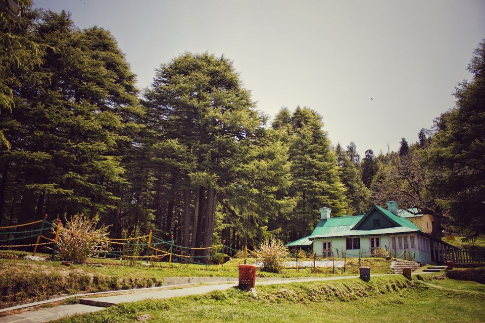 Photo of Why I wish to visit Dalhousie again by Vandana