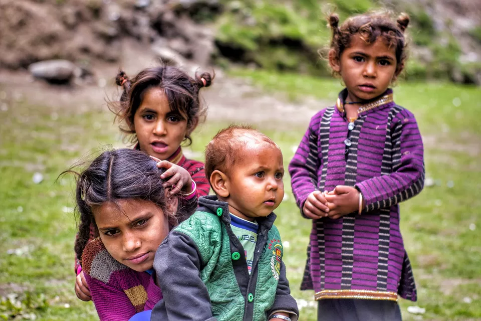 Photo of Kalatop, Himachal Pradesh, India by Vandana