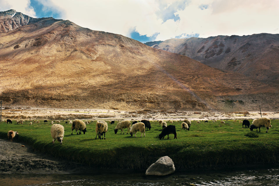 Photo of Pangong Lake, Leh by Vandy Malik