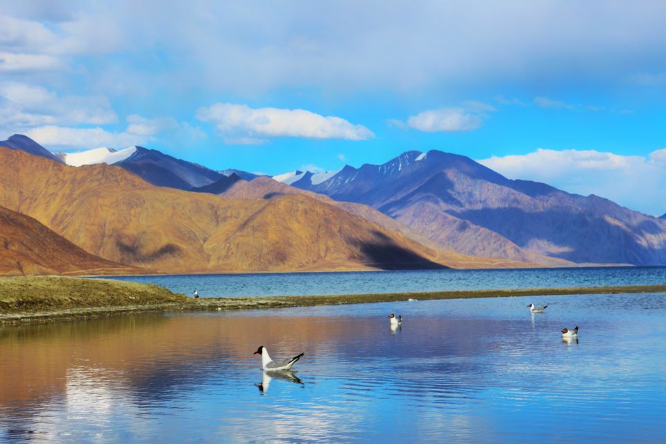 Photo of How I traveled free to Ladakh! by Vandy Malik