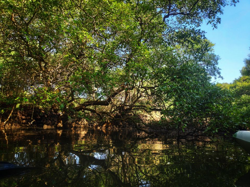 Photo of How I started my New Year by learning a new activity in Goa #learningholiday 10/13 by Vandana