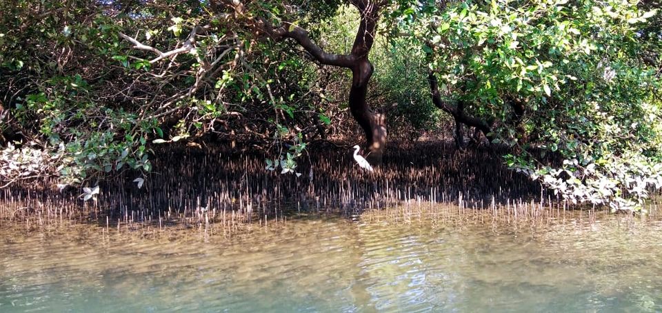 Photo of How I started my New Year by learning a new activity in Goa #learningholiday 8/13 by Vandana