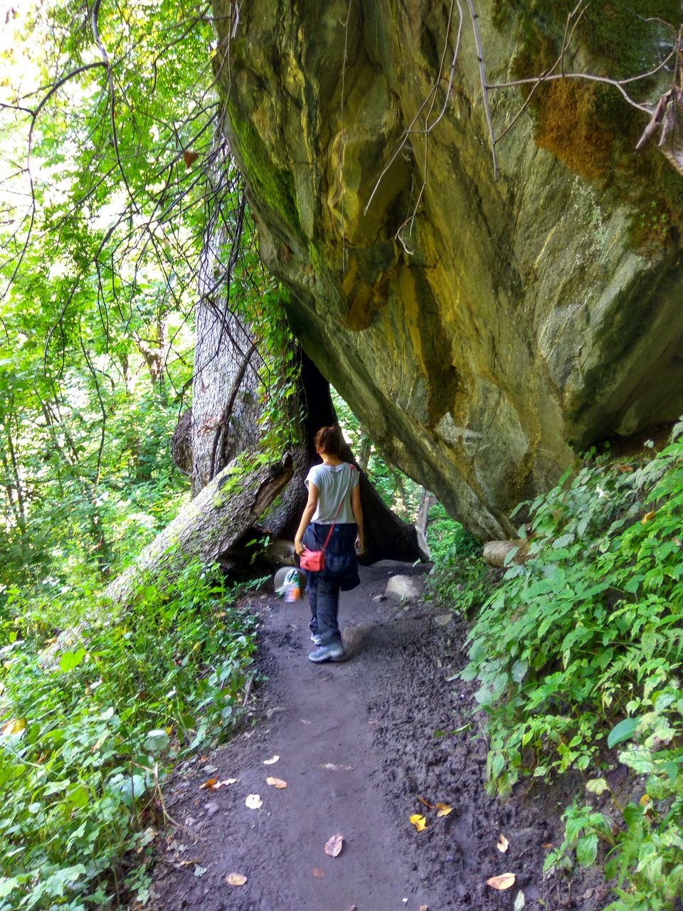 Photo of Can't decide on your first ever trek? Here's why it must be Kheerganga! 5/10 by Pranab