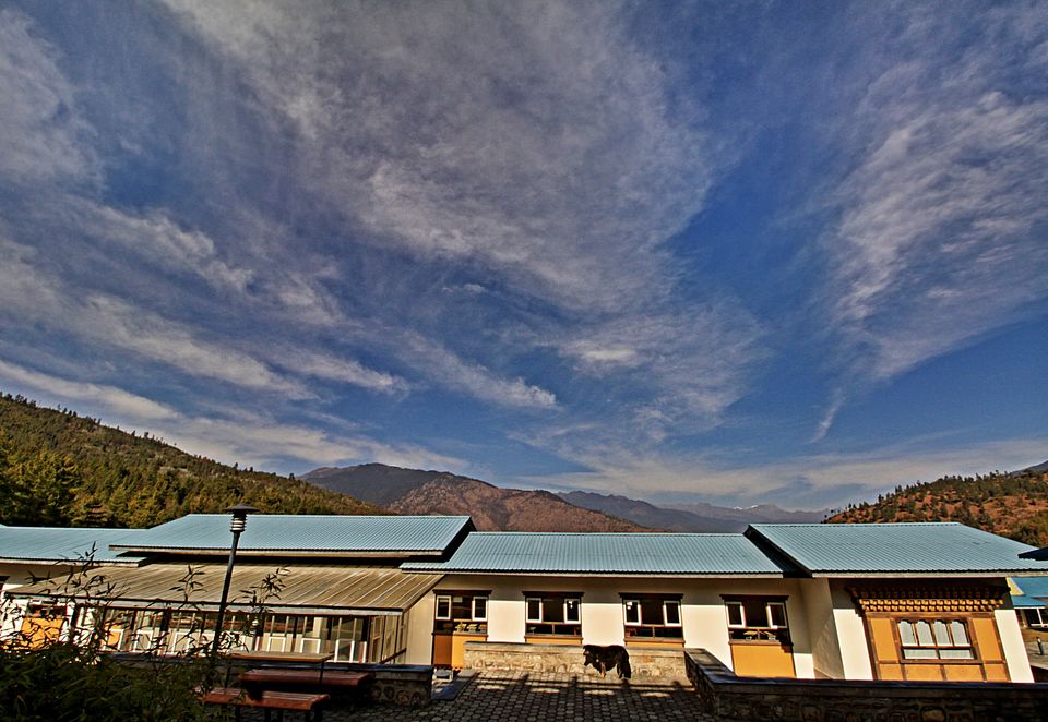 Photo of Royal Thimphu College, Thimphu, Bhutan by Pranab