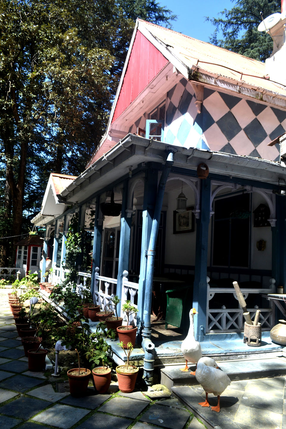 Photo of Shimla British Resorts - A Review 3/15 by Meenhaz Imran