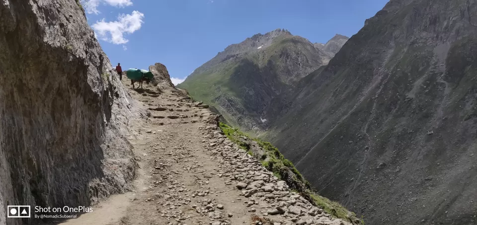 Photo of Amarnath Cave Camp, Forest Block by Tejpal Verma