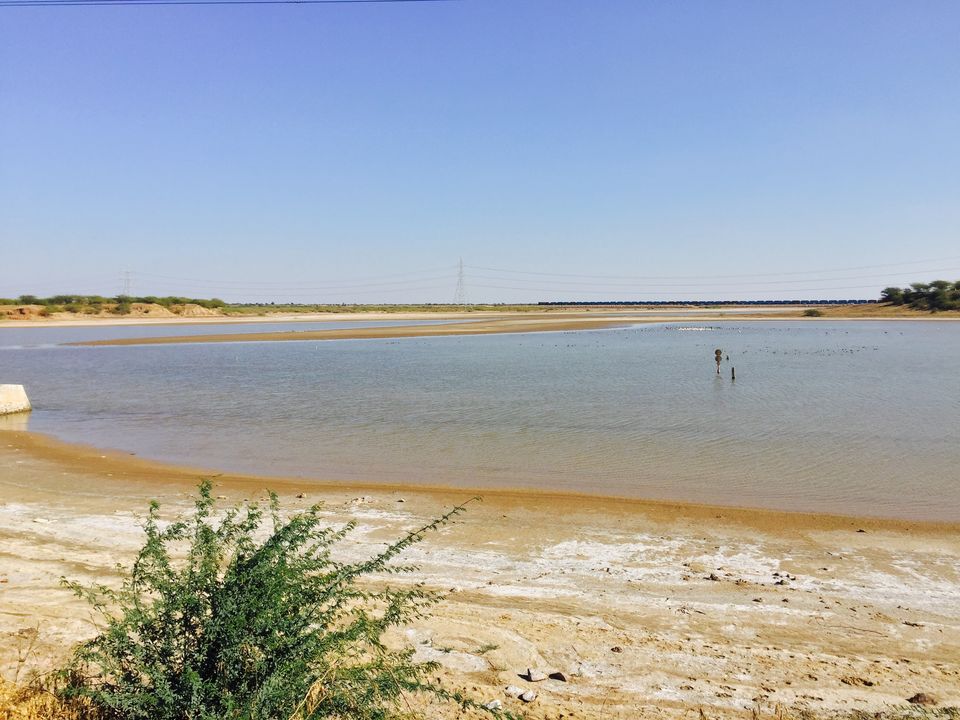 Photo of Road Trip to Rann of Kutch Jaiselmer Tanot Longewala itenary by Ashish Arora
