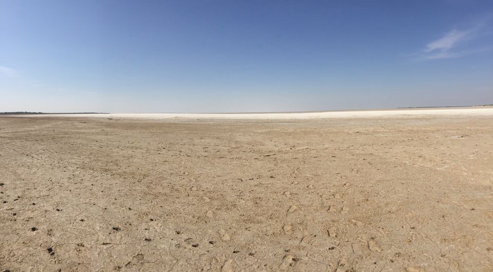 Photo of Road Trip to Rann of Kutch Jaiselmer Tanot Longewala itenary by Ashish Arora