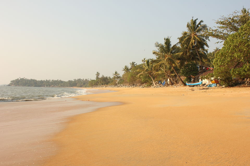Photo of 5 reasons why South india has to be your next travel destination! 5/5 by Vidur Lal