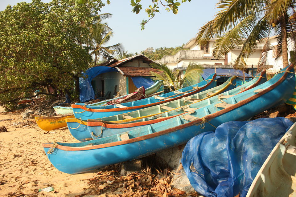 Photo of 5 reasons why South india has to be your next travel destination! 4/5 by Vidur Lal