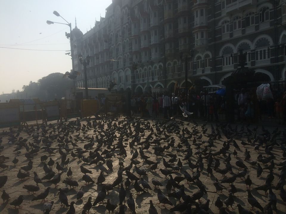 Photo of From Bangalore to Mumbai & Aurangabad by Shreyabh