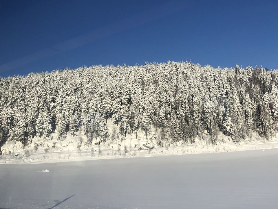 Photo of Country of Vikings & Fjords II (Bergen) 5/37 by AMITESH