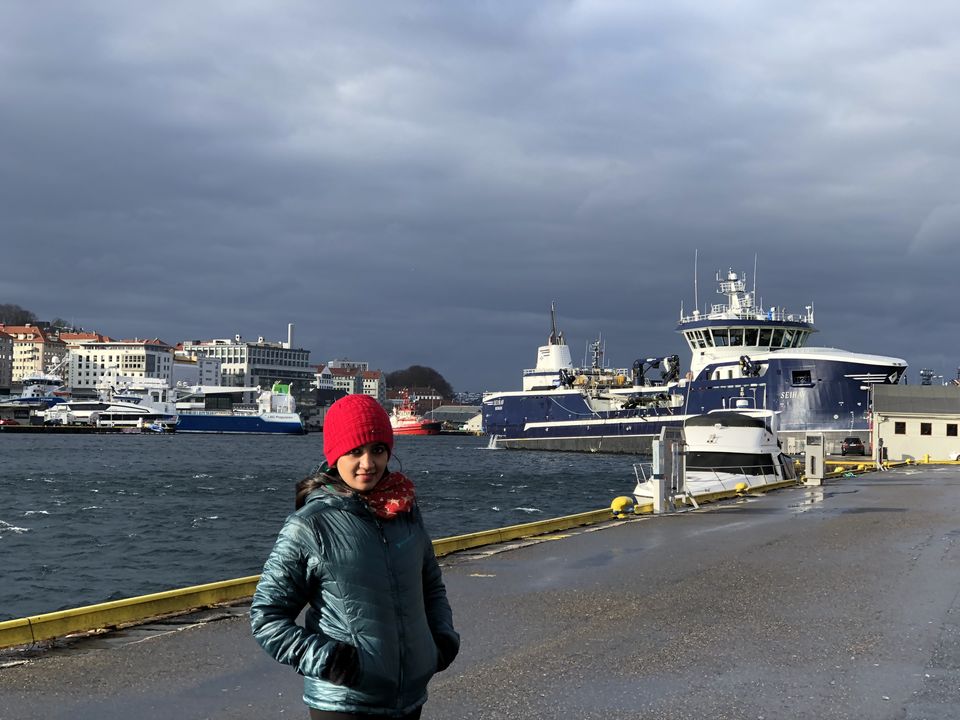 Photo of Country of Vikings & Fjords II (Bergen) 30/37 by AMITESH