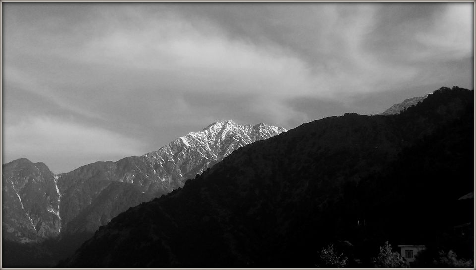 Photo of Road Trip to Mcleodganj & Triund Trek 11/12 by AMITESH