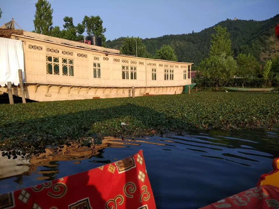 Photo of Dal Lake by Ravindra sharma