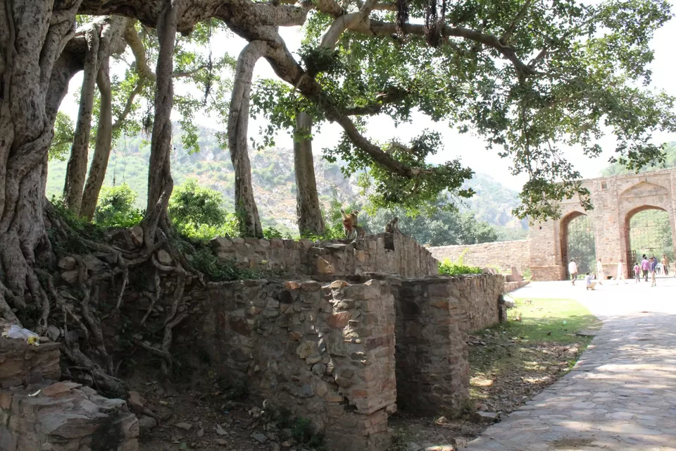 Photo of Bhangarh Fort, Bhangarh, Rajasthan, India by Ravindra sharma