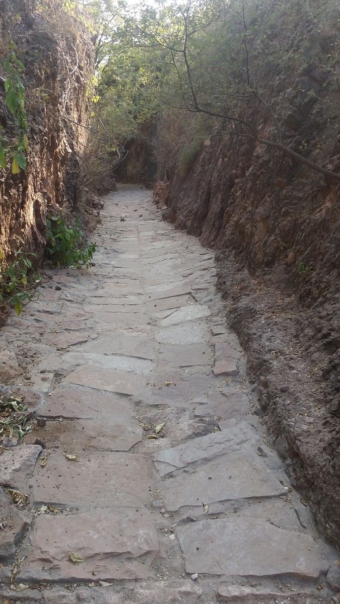 Photo of Rao Jodha Desert Rock Park, Jodhpur, Rajasthan, India by Ravindra sharma